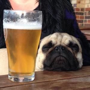 Meet your Posher, Alice